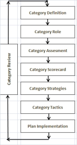 8 Steps category Management